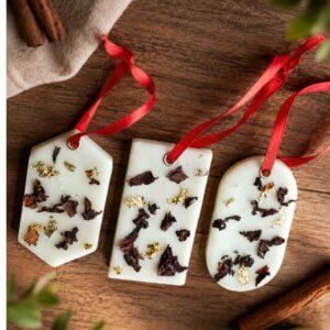 Apple Spiced Wax Sachet